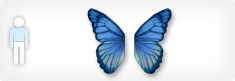 butterflyback